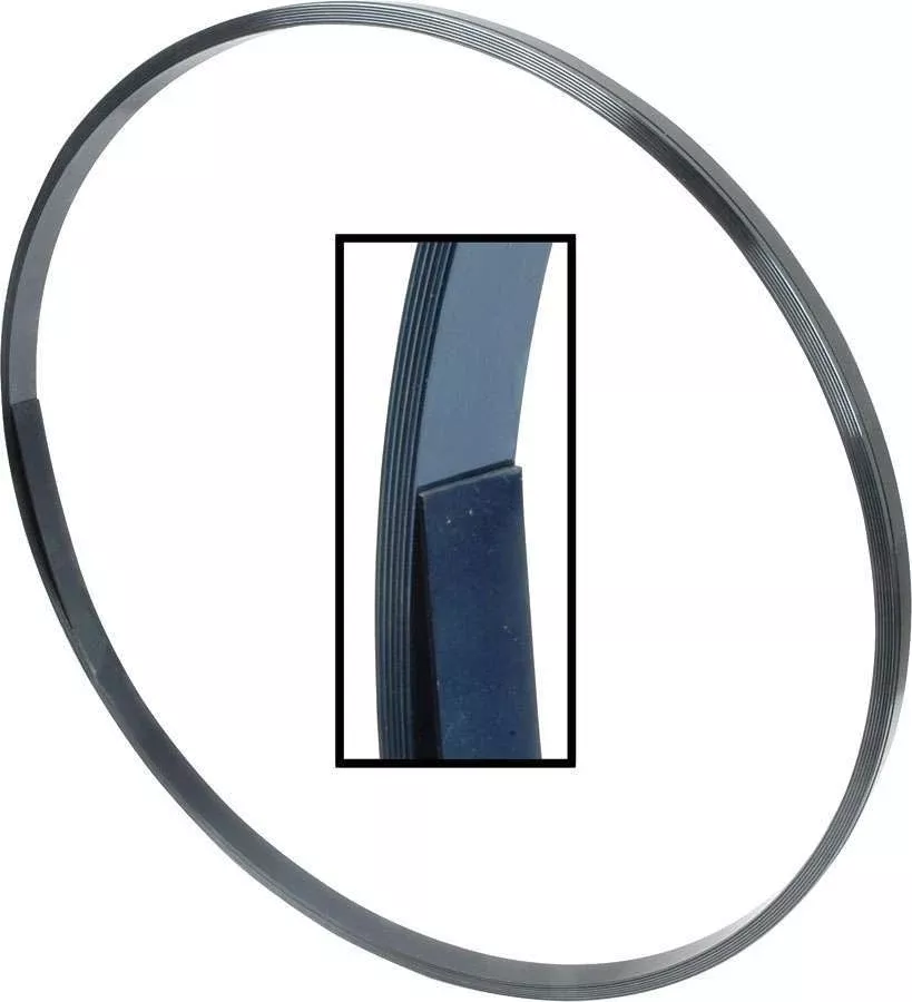Allstar Performance - Spring Steel 40ft Roll
